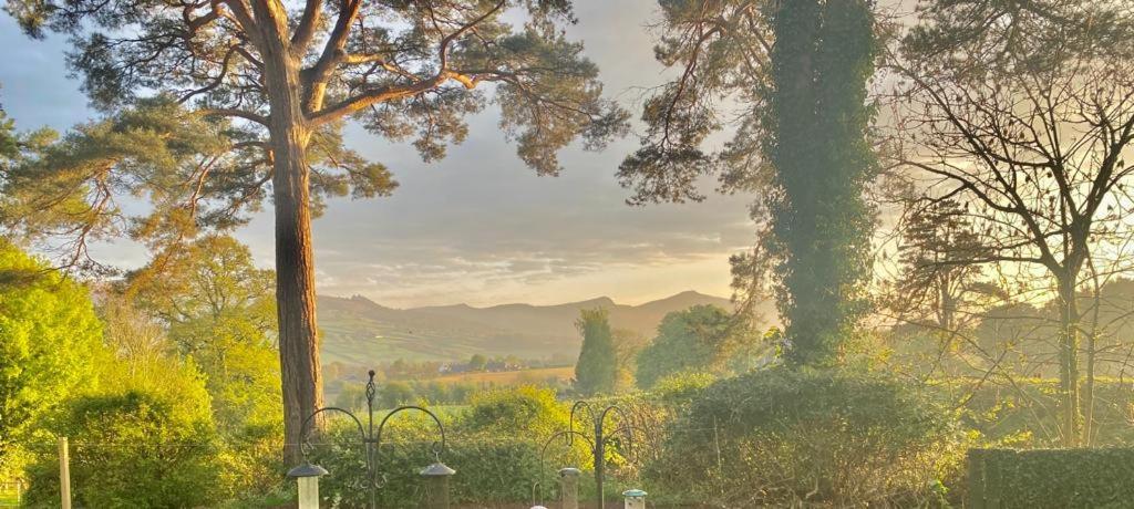 Mountain Suite, Stunning Views, Brecon Beacons Llanhamlach Ngoại thất bức ảnh